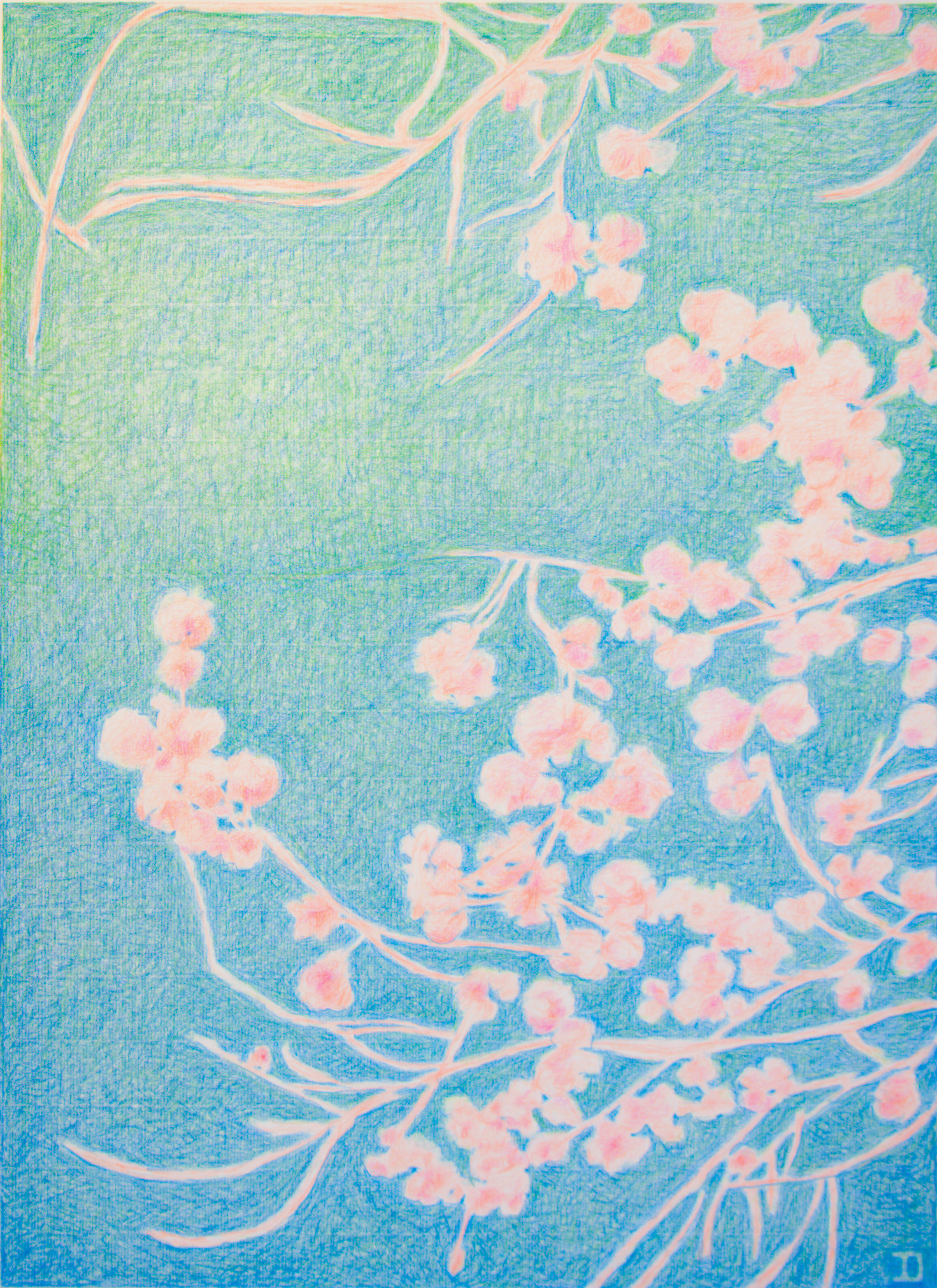 Asia evocativa serie Sakura n°12