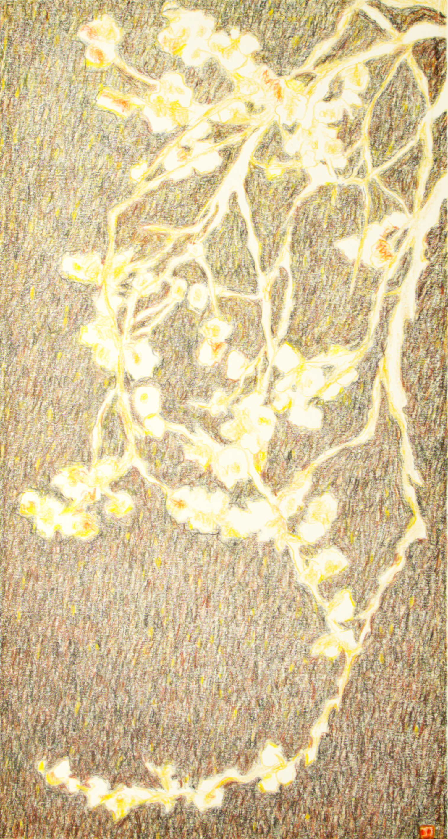 Asia evocativa n°25