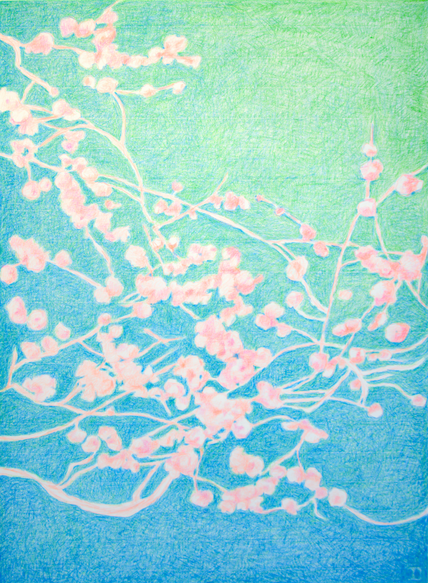 Asia evocativa serie Sakura n°22