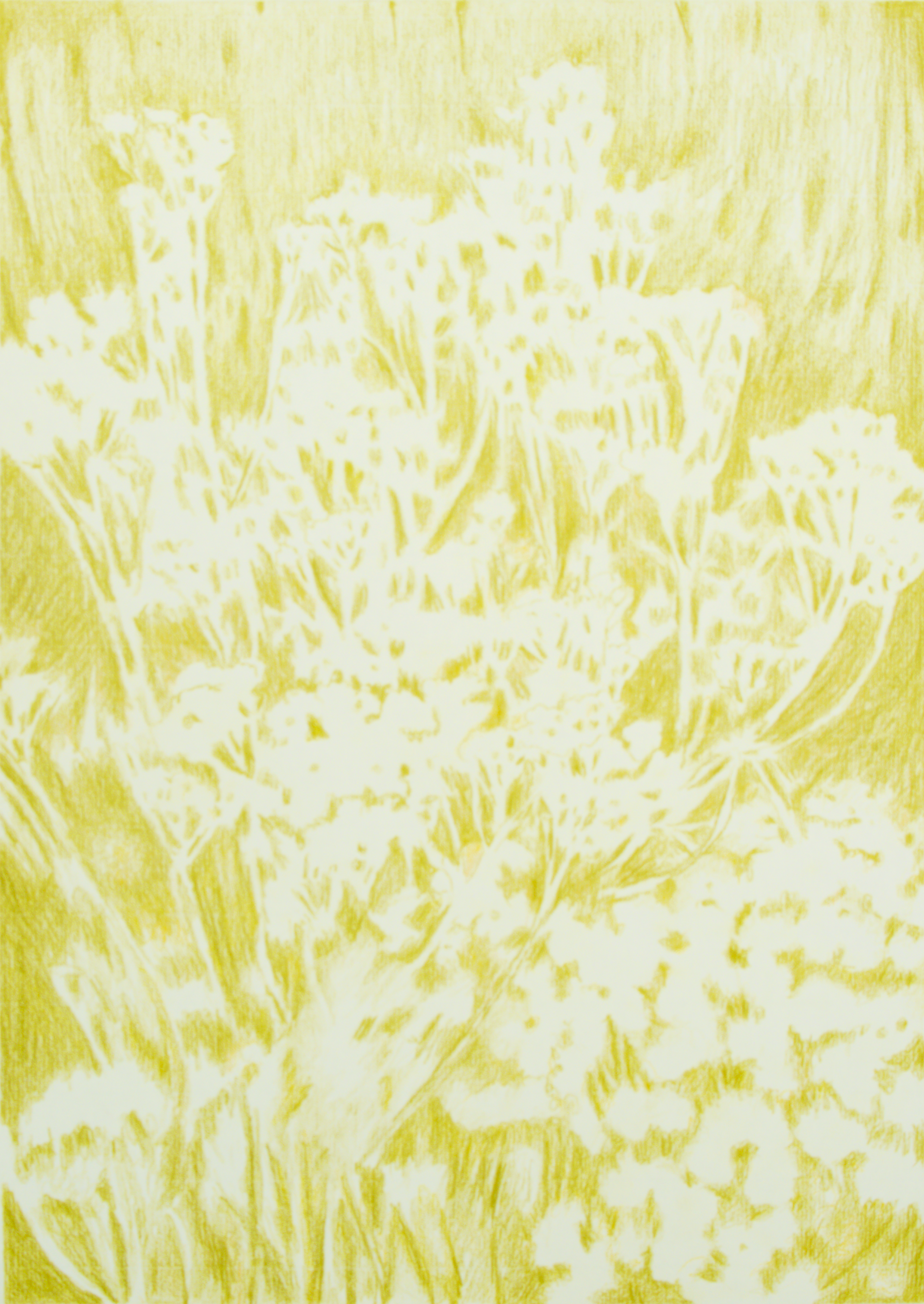 Visioni dei campi serie verde