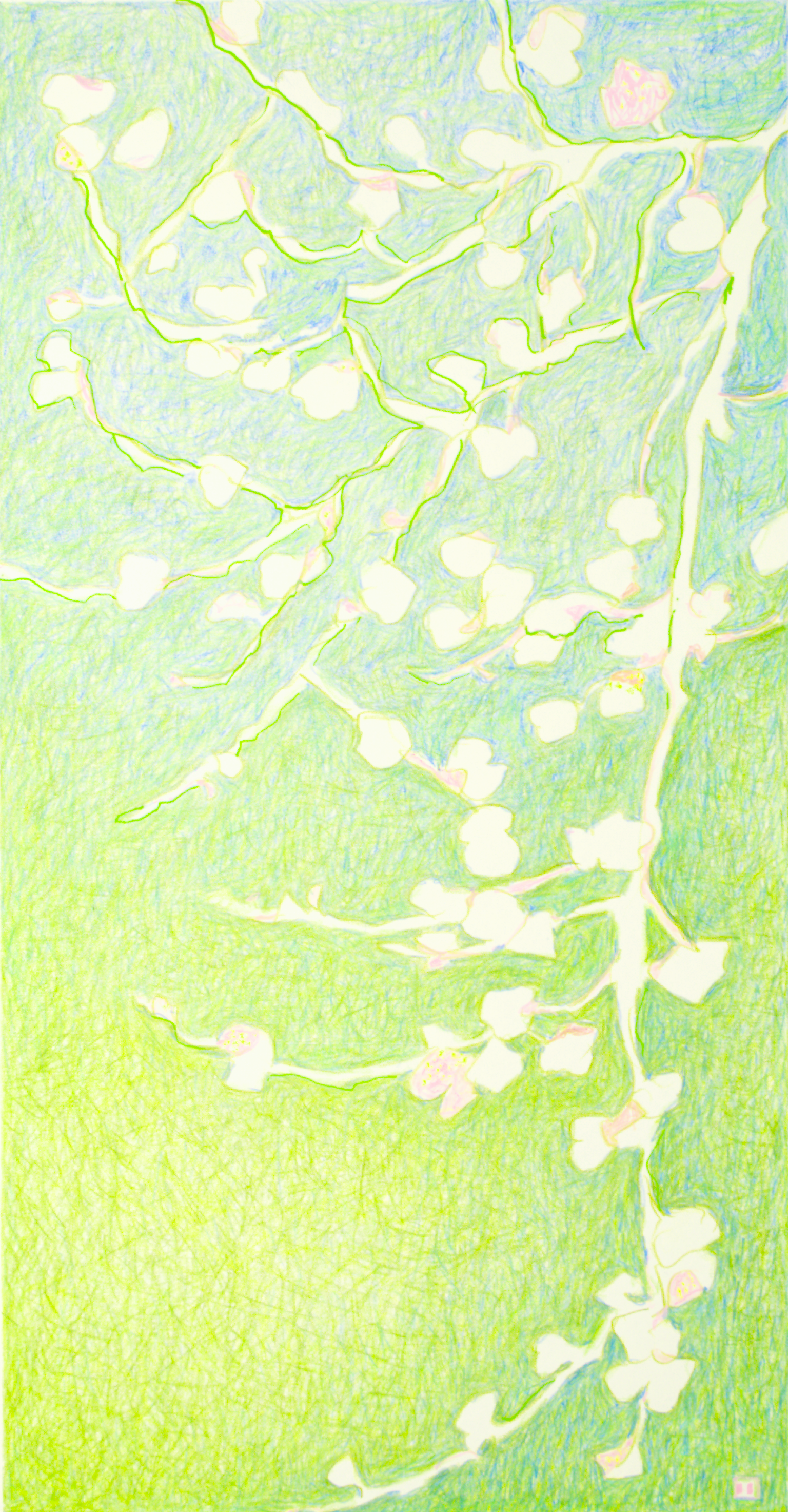 Asia evocativa n° 23