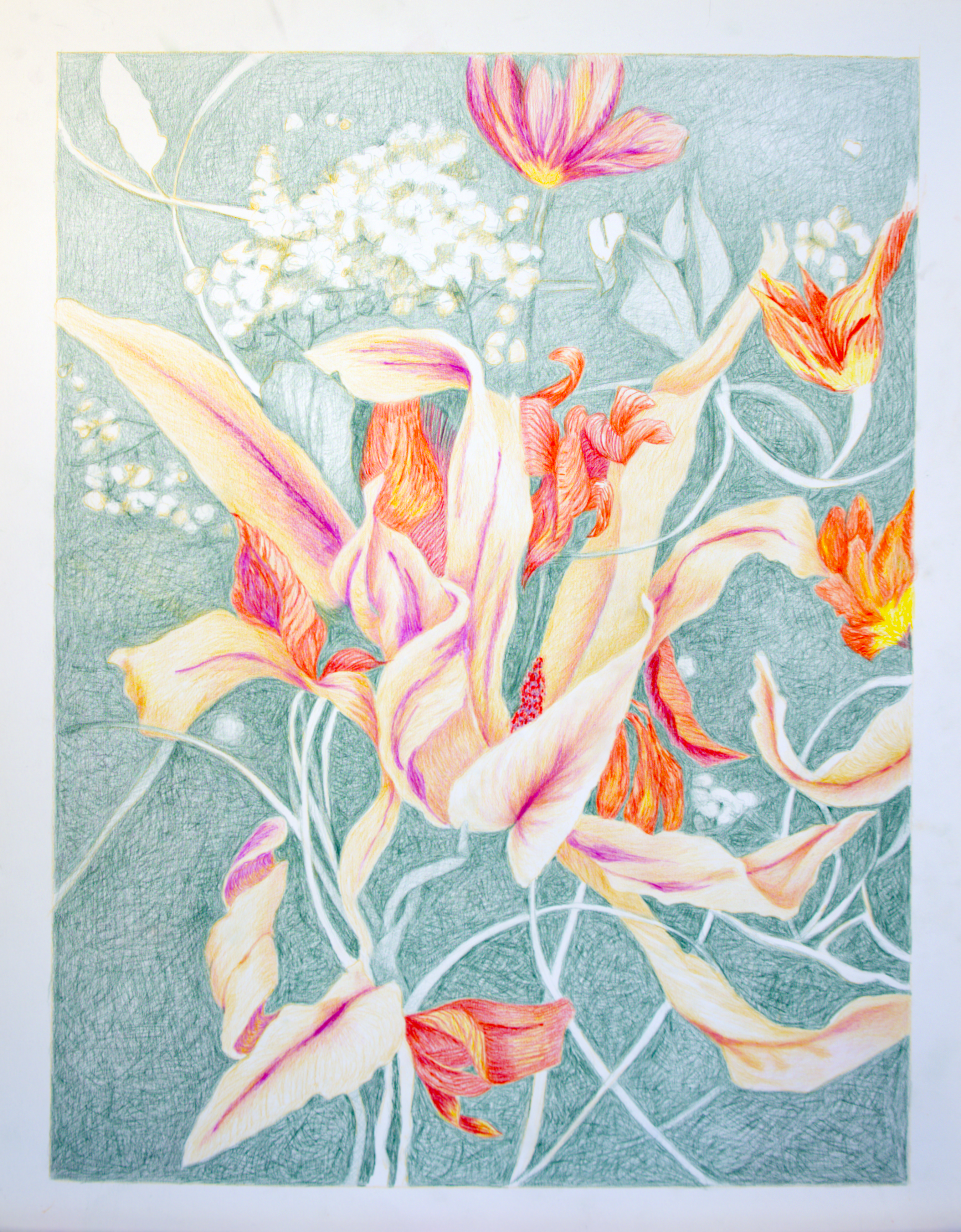 Elementi floreali n°11