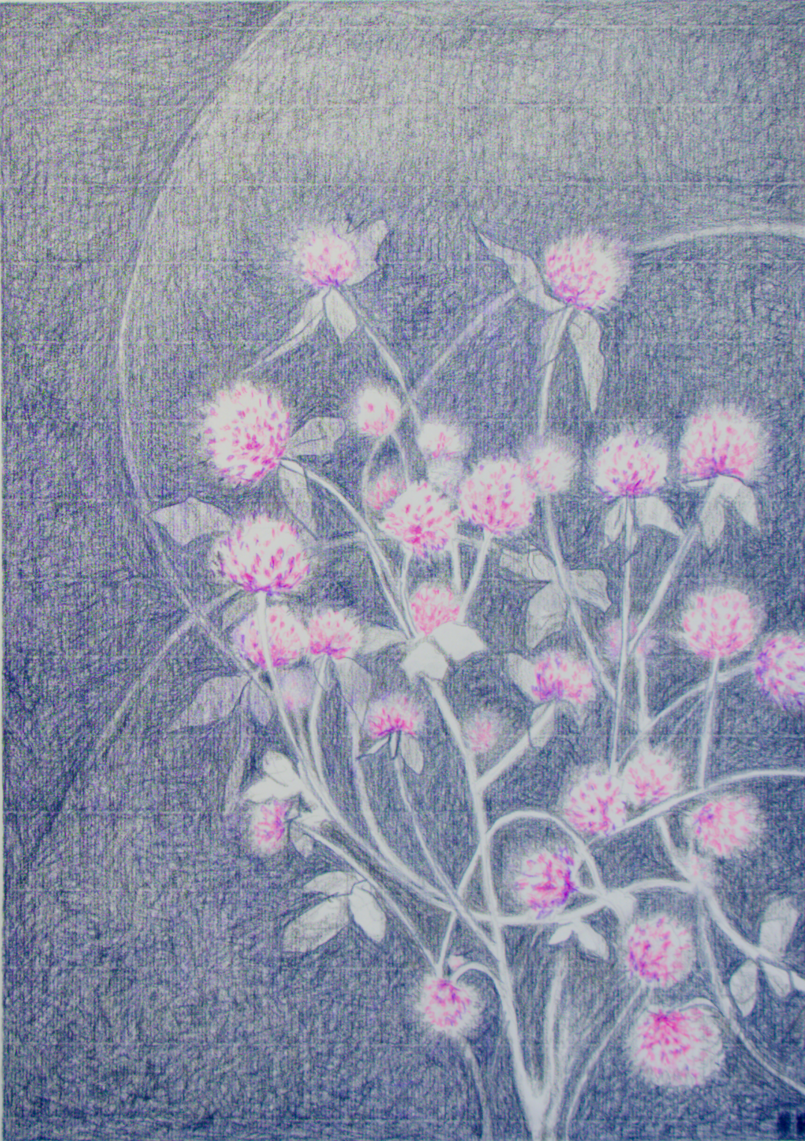 Visioni del bosco serie trefolio n°1