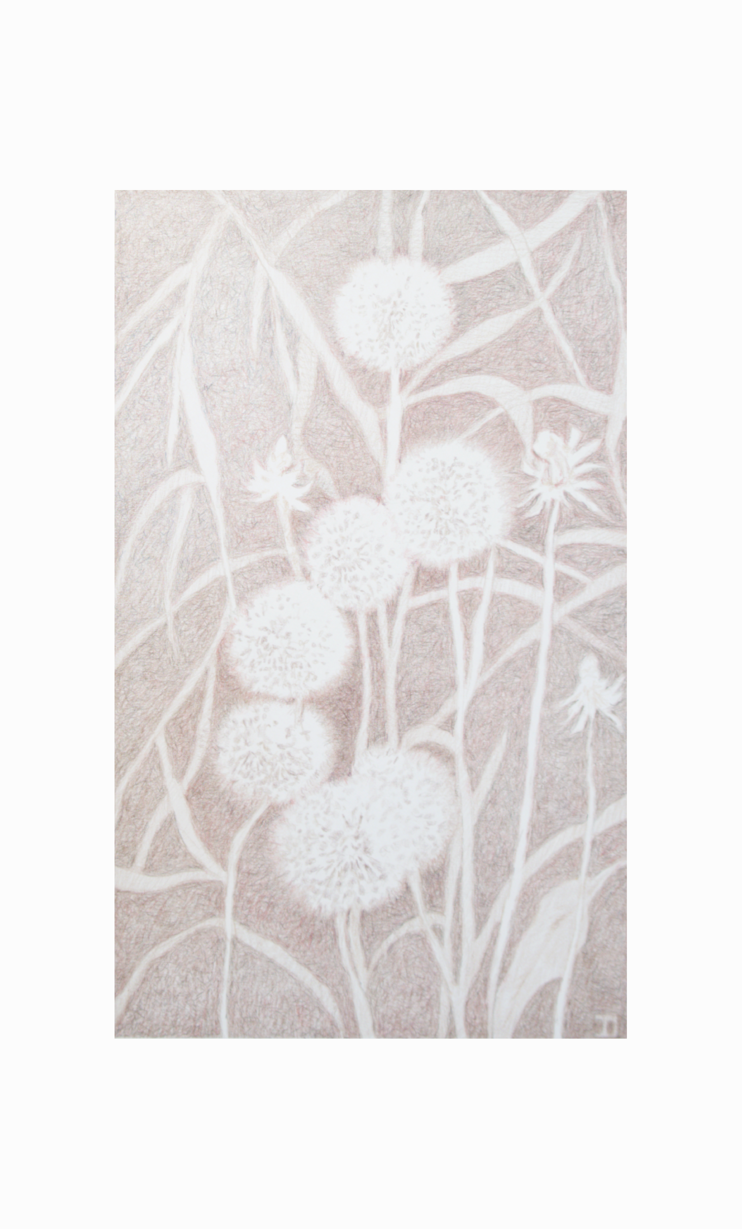 Visioni dei campi serie griggio