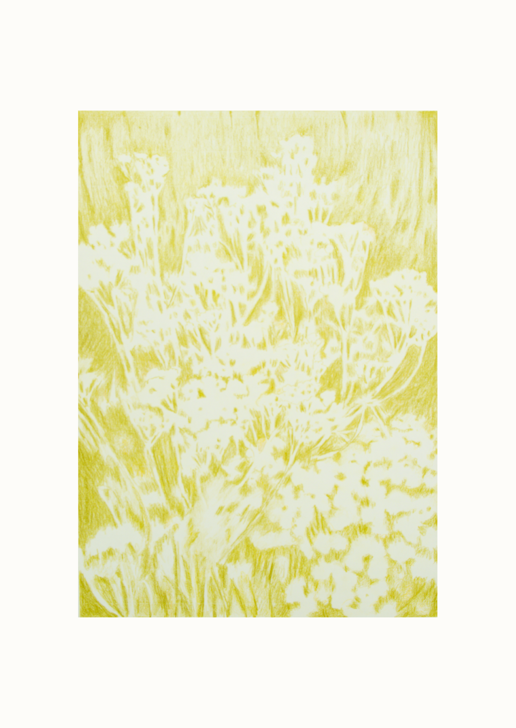 Visioni dei campi serie verde