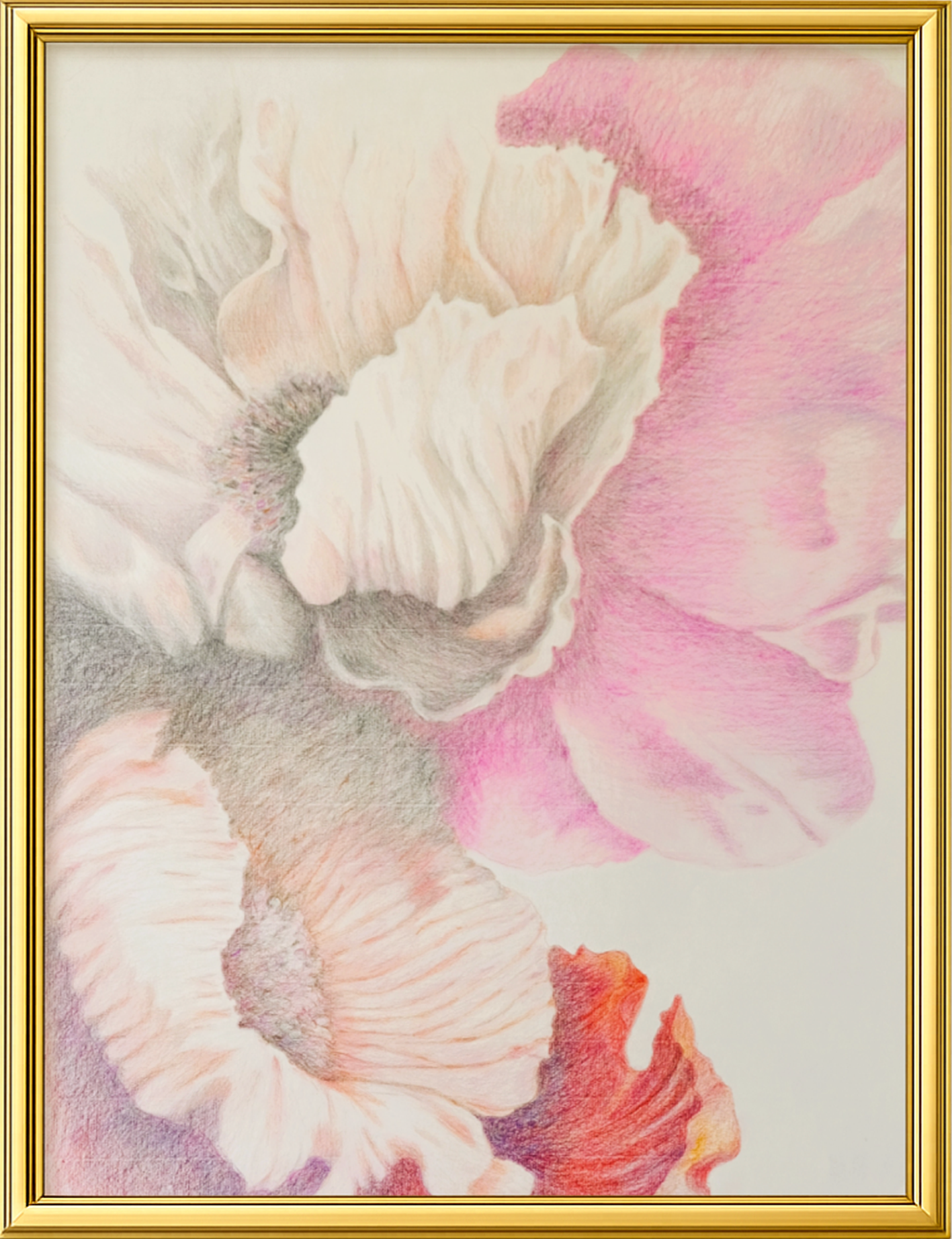 Elementi floreali n°°12