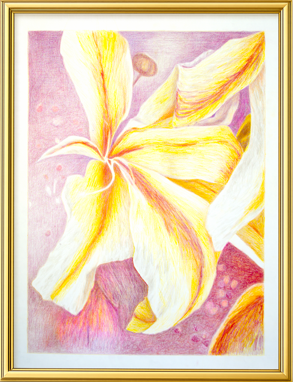 Elementi floreali n°14