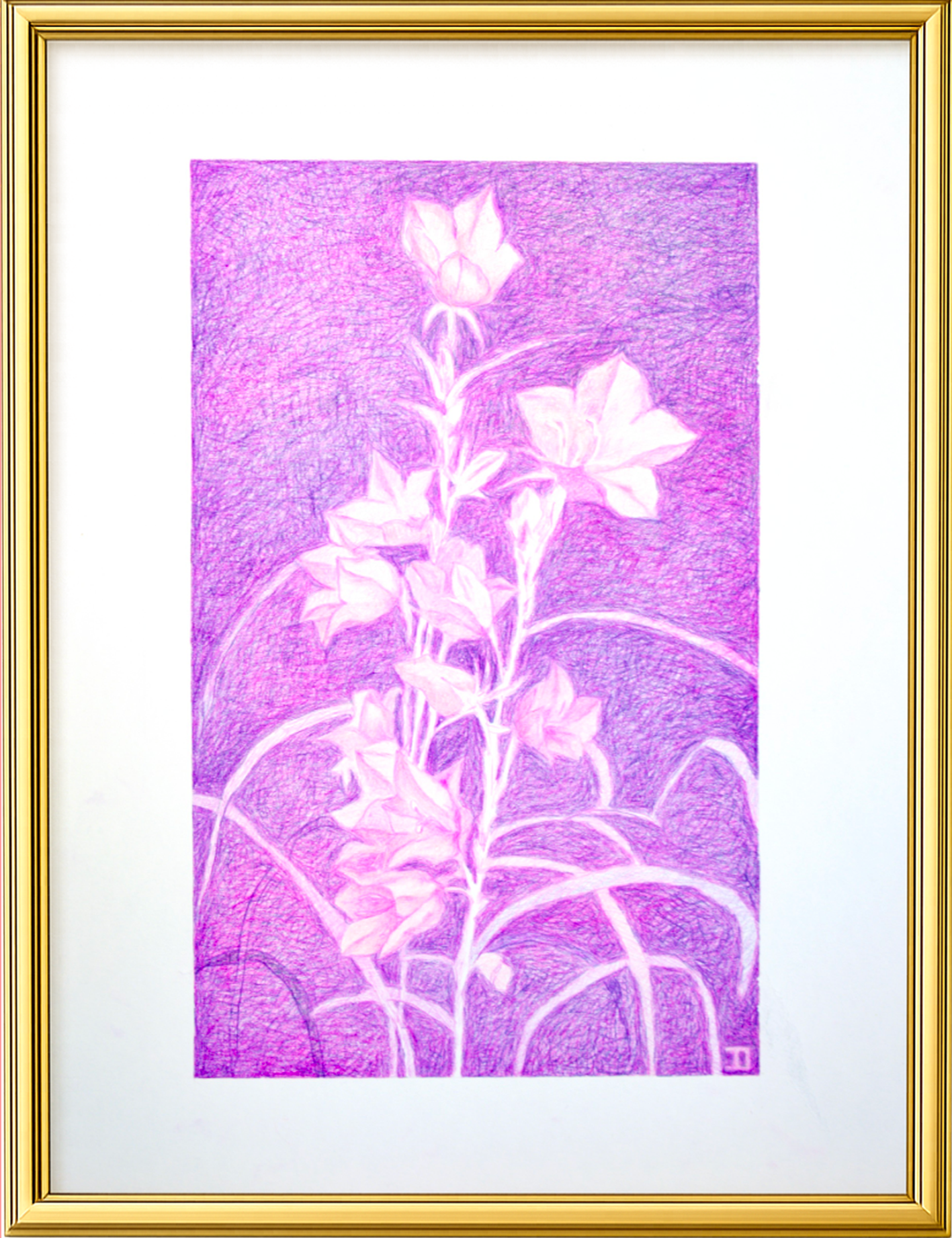 Nostaligia malva n°1