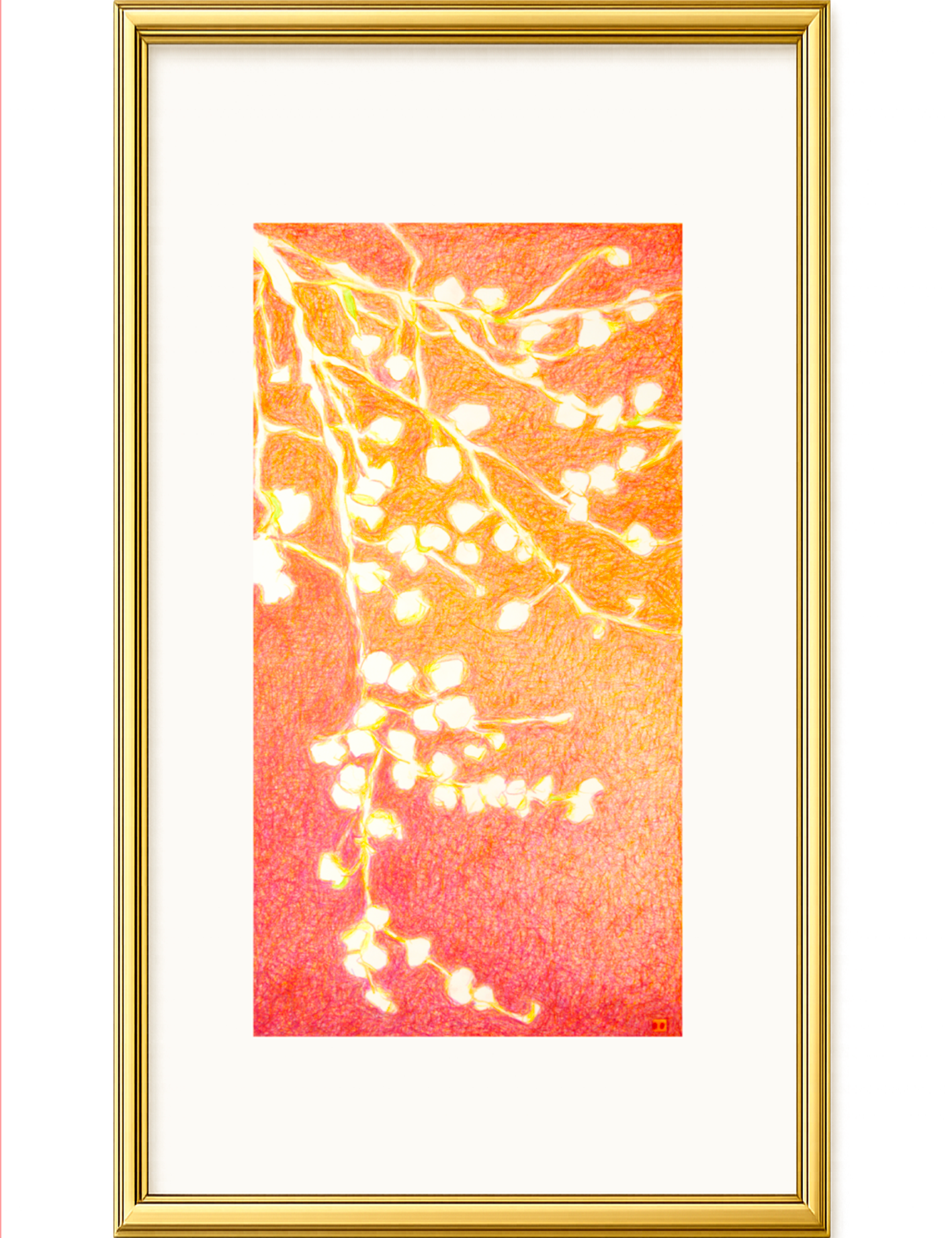 Asia evocativa n°24