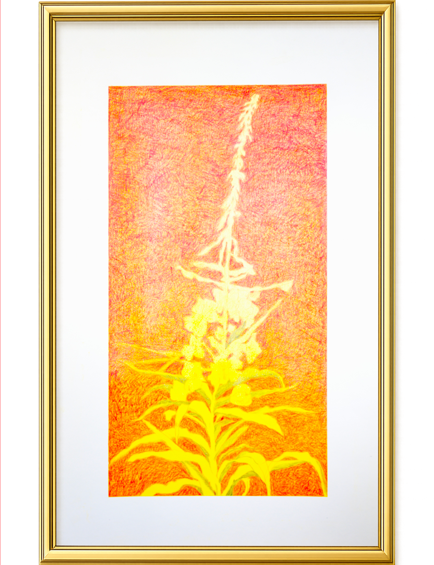 Visioni del bosco serie Tè di Ivan da solo