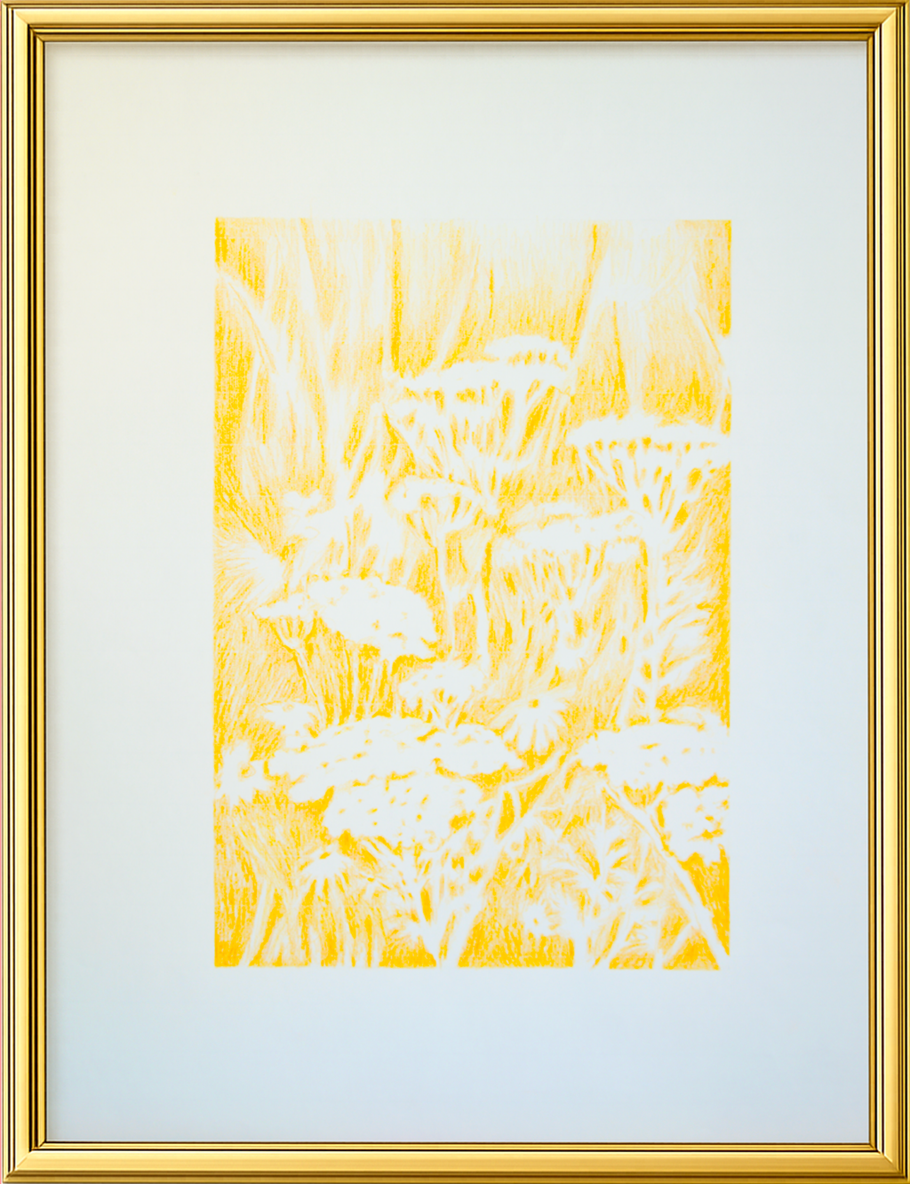 Visioni dei campi serie ocre