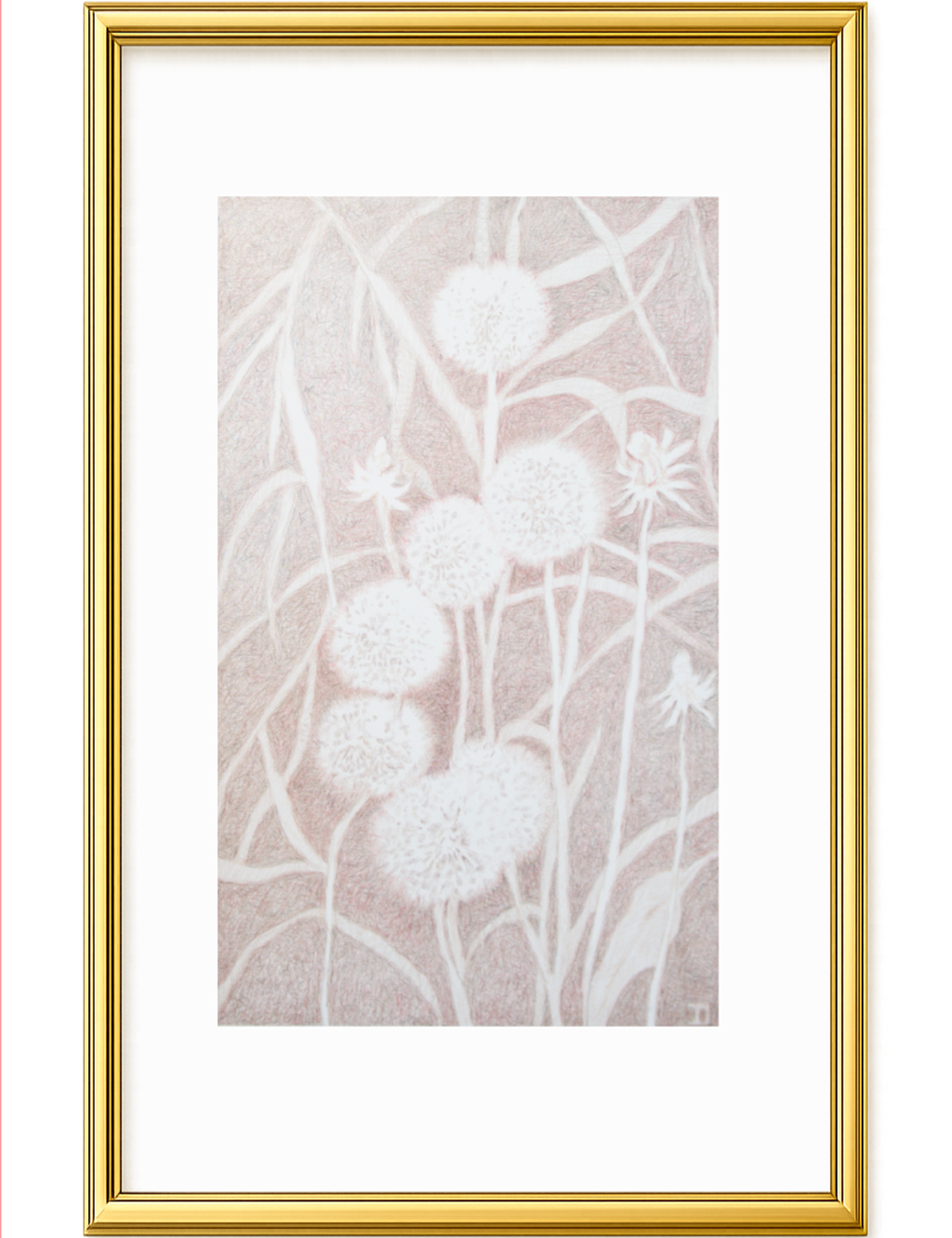 Visioni dei campi serie griggio