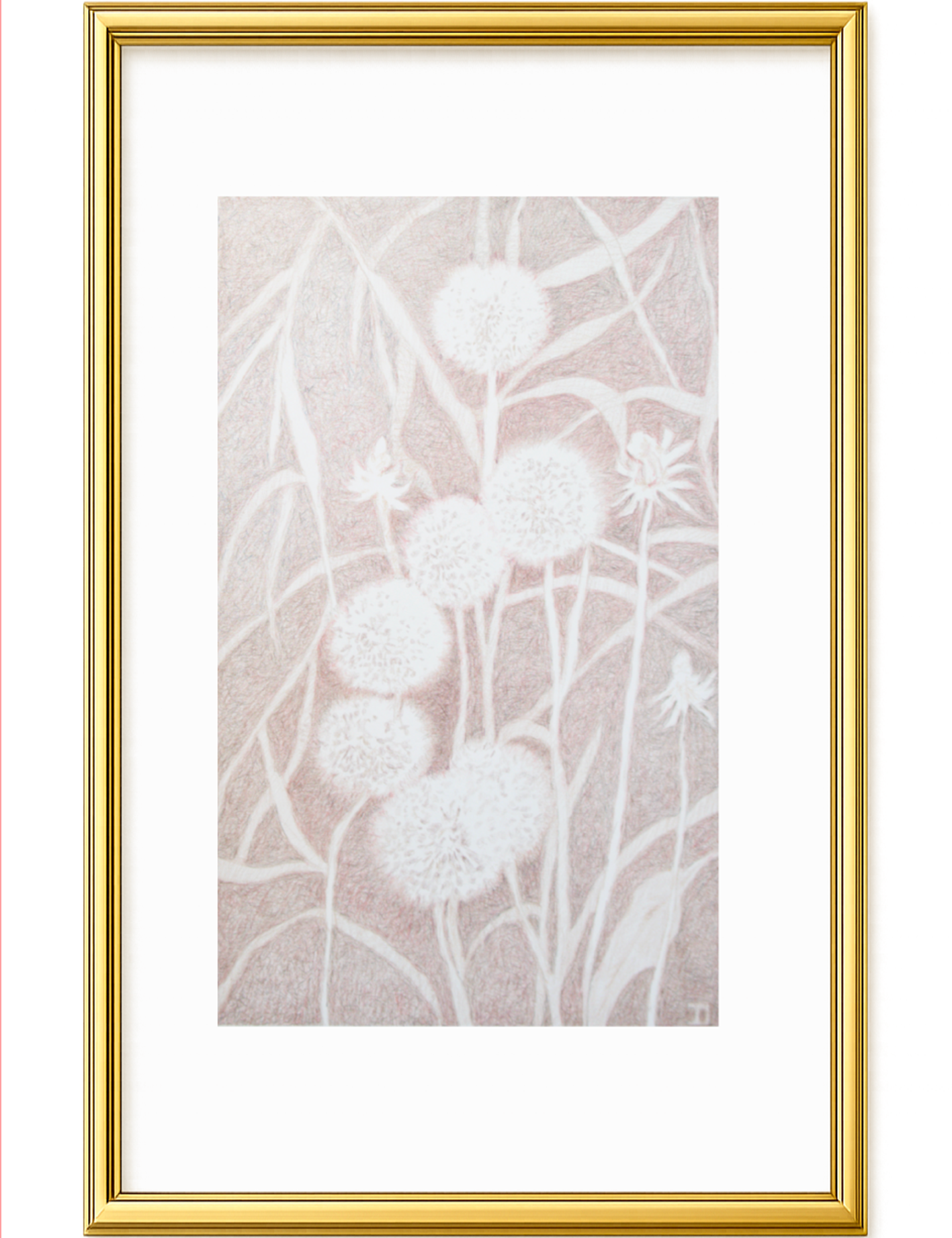 Visioni dei campi serie griggio