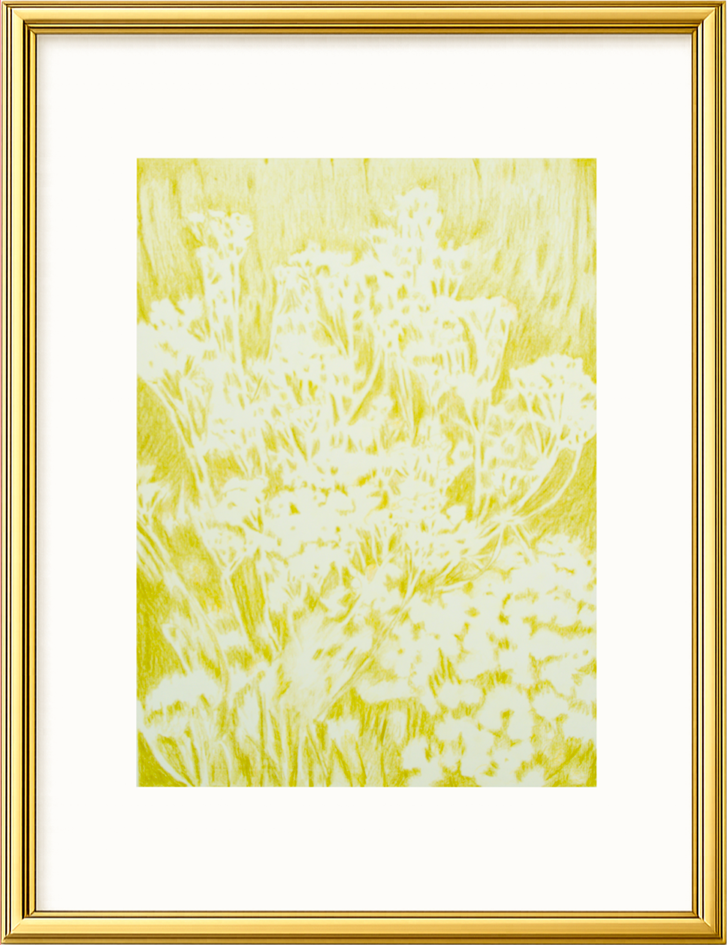 Visioni dei campi serie verde